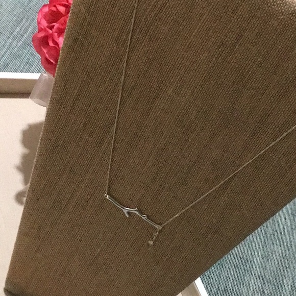 BEAUTIFUL CHOLE&ISABEL Silver Tone Branch Necklace.Brand New With Itβs Dust Bag. - Picture 4 of 7